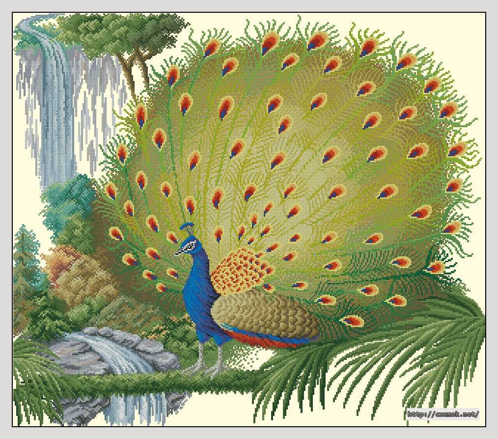 Download embroidery patterns by cross-stitch  - Peacock, author 