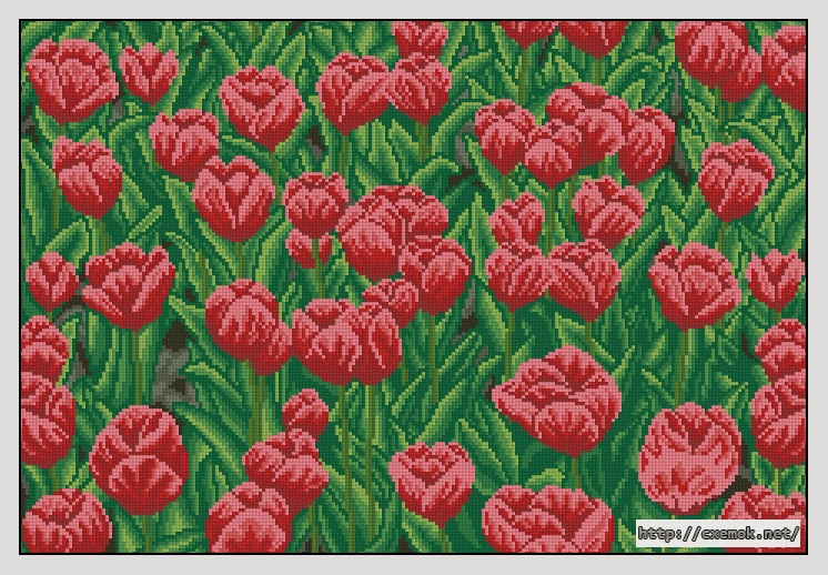 Скачать схемы вышивки нитками / крестом  - Red tulips, автор 