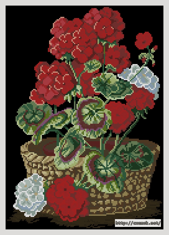Download embroidery patterns by cross-stitch  - Герань, author 