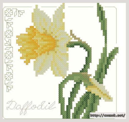 Download embroidery patterns by cross-stitch  - Daffodil