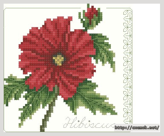 Download embroidery patterns by cross-stitch  - Hibiscus