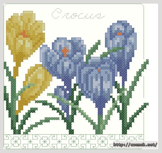Download embroidery patterns by cross-stitch  - Crocus