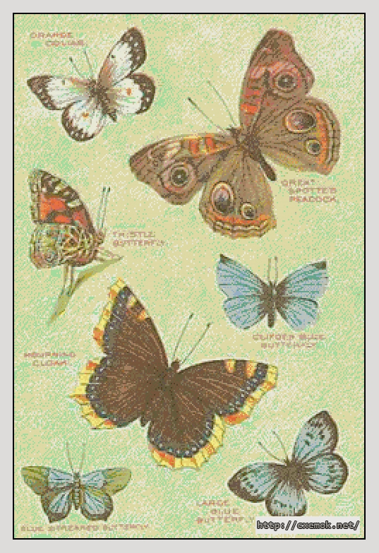 Скачать схему вышивки нитками Butterfly Profile