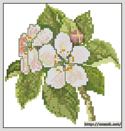 Download embroidery patterns by cross-stitch  - Apple blossom, author 