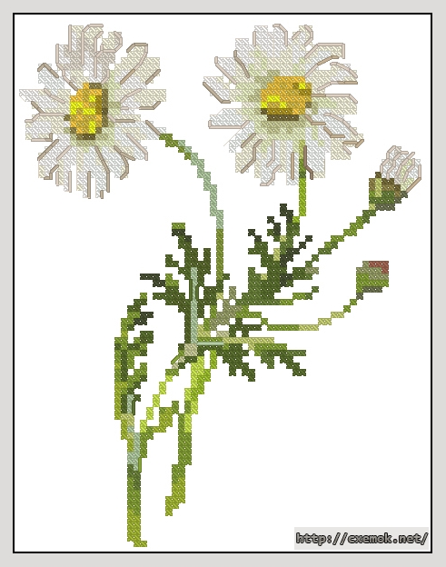 Download embroidery patterns by cross-stitch  - Daisy, author 