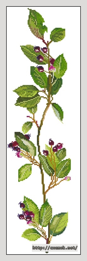 Download embroidery patterns by cross-stitch  - Juneberry, author 