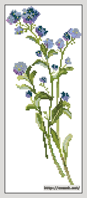 Download embroidery patterns by cross-stitch  - Myosotis, author 