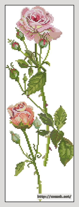 Download embroidery patterns by cross-stitch  - Pink rose, author 