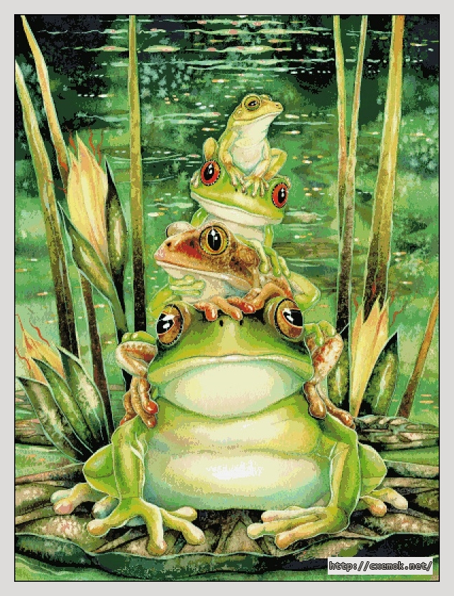 Download embroidery patterns by cross-stitch  - Top frog, author 