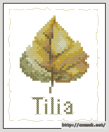 Скачать схему вышивки blad(tilia)