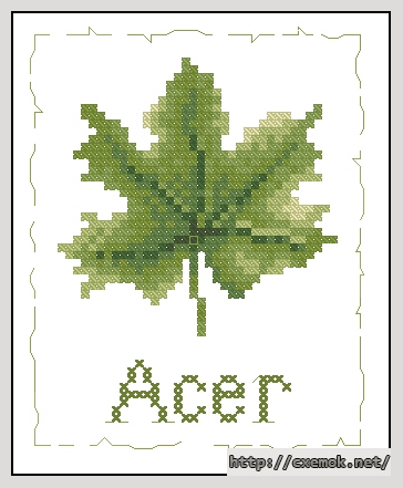 Download embroidery patterns by cross-stitch  - Blad(acer), author 