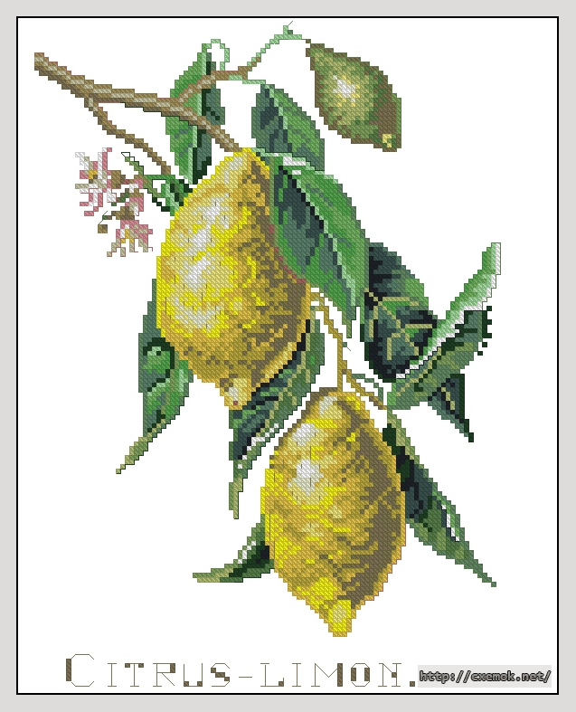 Download embroidery patterns by cross-stitch  - Lemon, author 