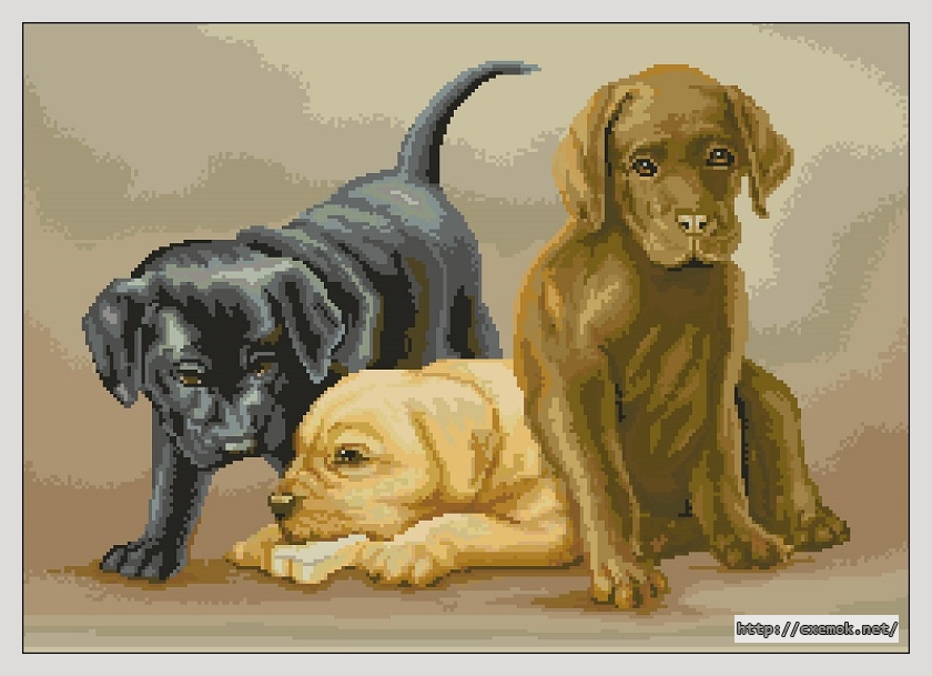 Download embroidery patterns by cross-stitch  - Catelusii, author 