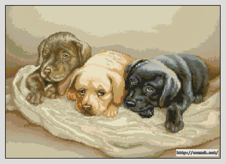 Download embroidery patterns by cross-stitch  - Тhree dogs, author 