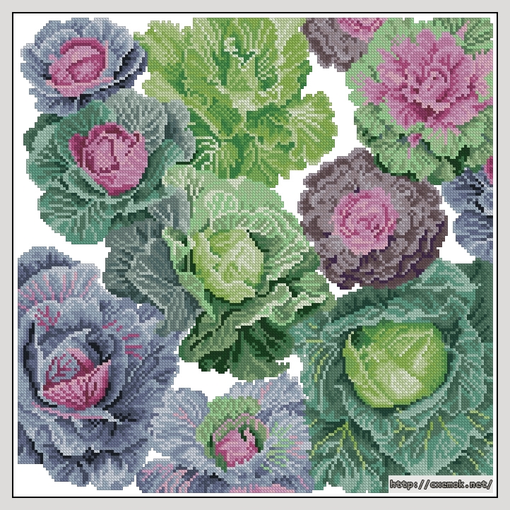 Download embroidery patterns by cross-stitch  - Cabbages pillow, author 