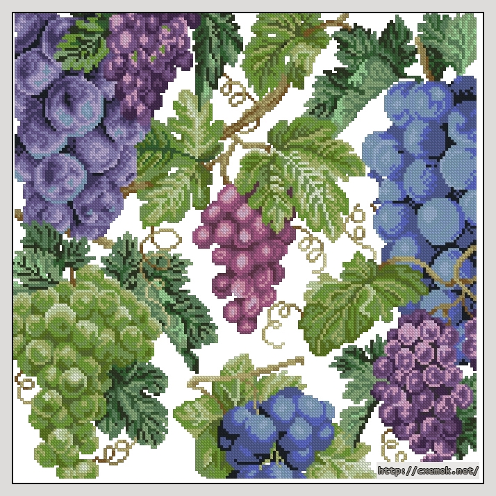 Download embroidery patterns by cross-stitch  - Grapes pillow, author 