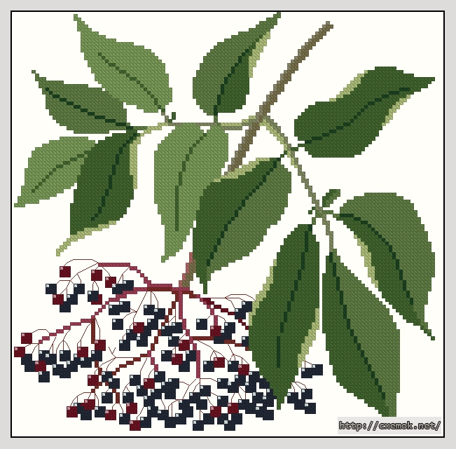 Download embroidery patterns by cross-stitch  - February