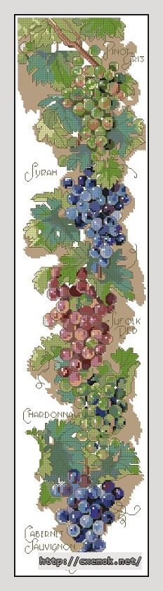 Download embroidery patterns by cross-stitch  - Grapes bell pull, author 