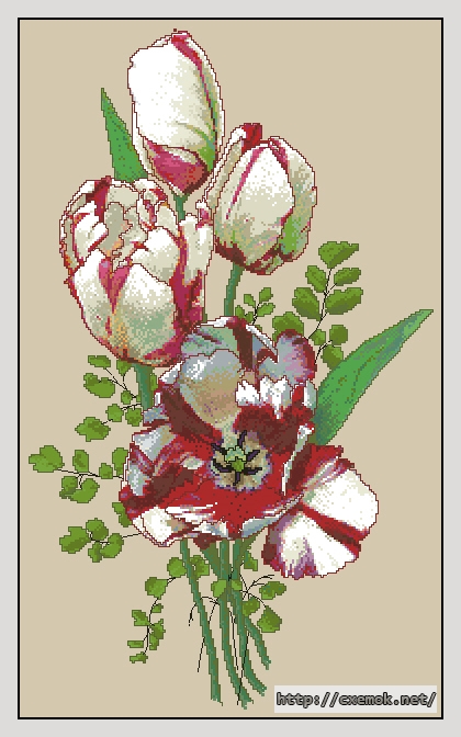 Download embroidery patterns by cross-stitch  - Parrot tulips, author 