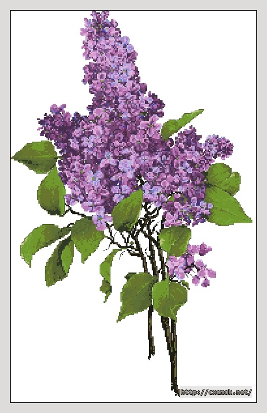 Download embroidery patterns by cross-stitch  - Lavander lilacs, author 