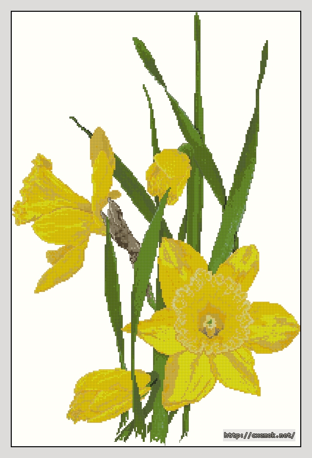 Скачать схему вышивки нитками Daffodils, автор 