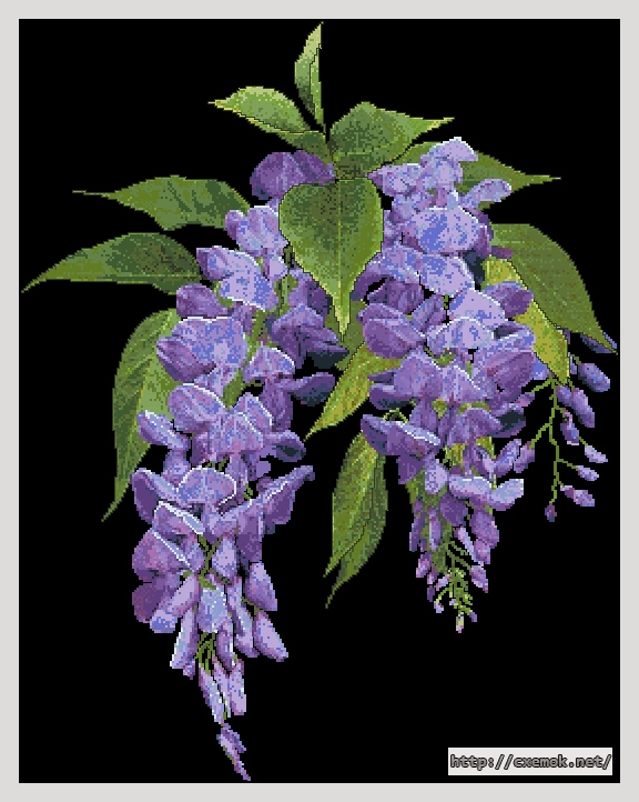 Download embroidery patterns by cross-stitch  - Wisteria, author 