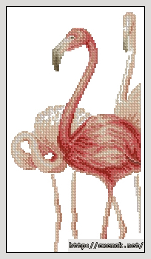 Скачать схему вышивки нитками Фламинго 3, автор 