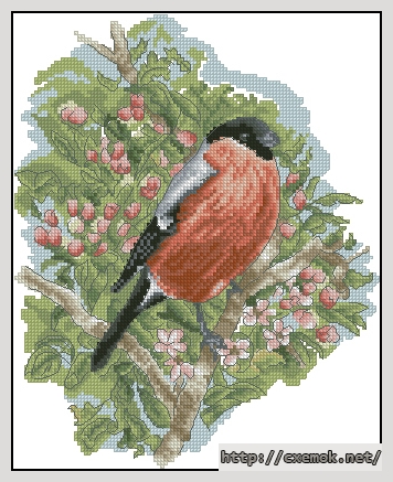 Download embroidery patterns by cross-stitch  - Bullfinch, author 