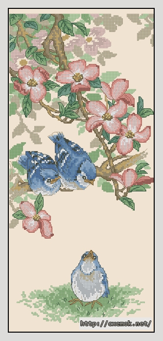 Download embroidery patterns by cross-stitch  - Baby blue jays, author 