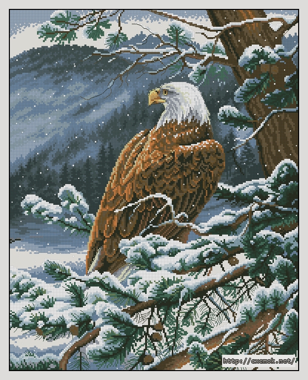 Download embroidery patterns by cross-stitch  - Eagle''s eye view, author 