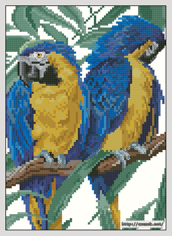 Download embroidery patterns by cross-stitch  - Parrots, author 