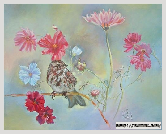 Download embroidery patterns by cross-stitch  - Bird on cosmos, author 