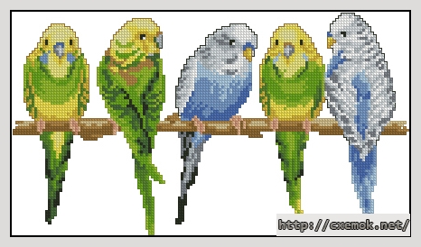 Download embroidery patterns by cross-stitch  - Parakeets'' date, author 
