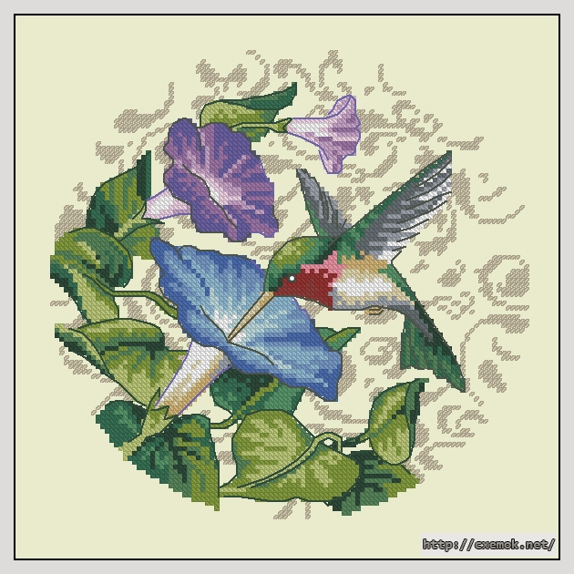 Скачать схему вышивки нитками Hummingbird Beauty, автор 