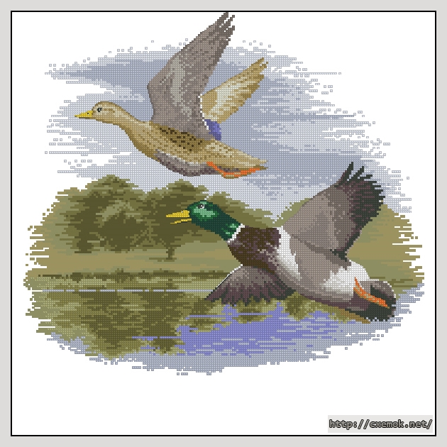 Скачать схемы вышивки нитками / крестом  - Mallard ducks in flight, автор 