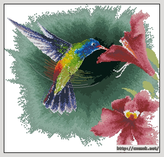 Скачать схему вышивки нитками Hummingbird in Flight, автор 