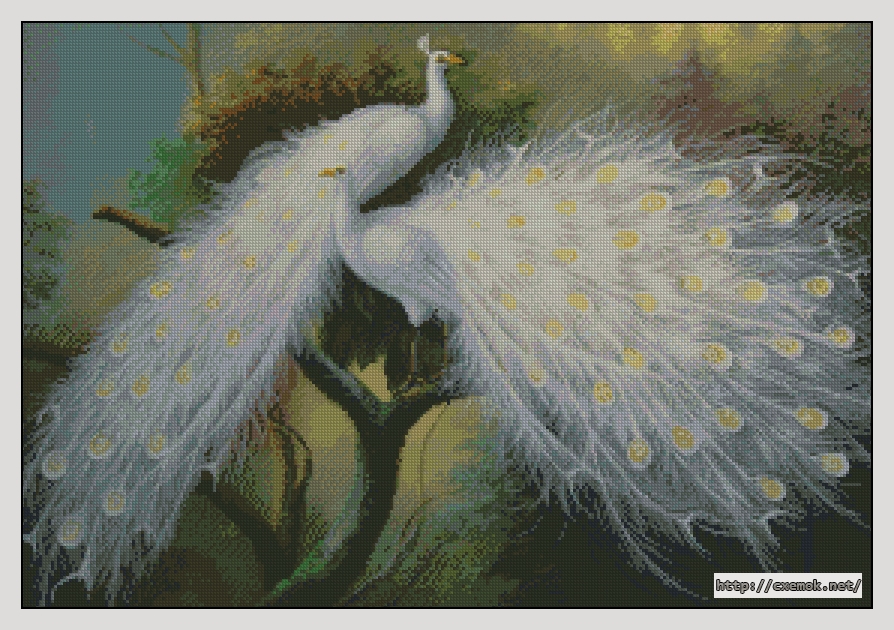 Download embroidery patterns by cross-stitch  - White peacocks, author 
