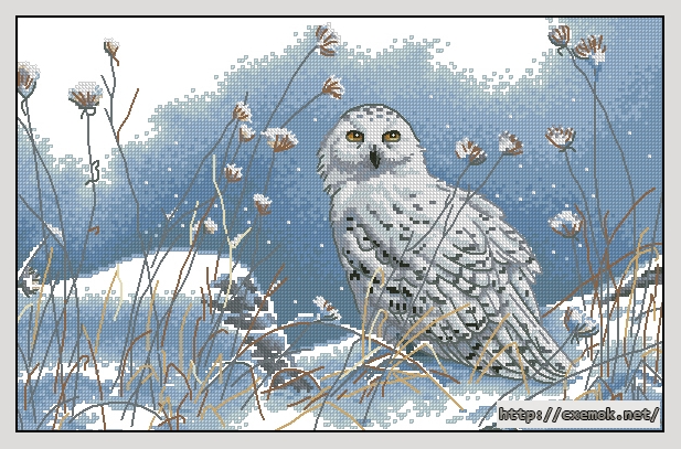 Скачать схему вышивки нитками Northwind Owl, автор 