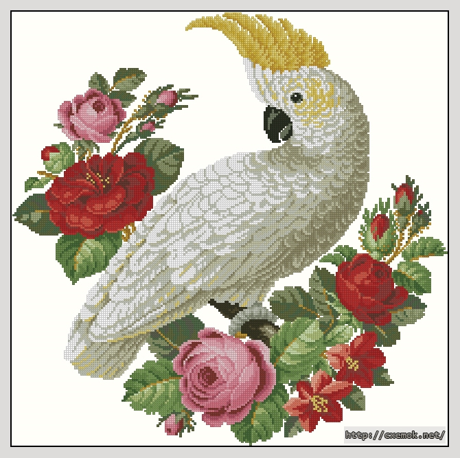 Download embroidery patterns by cross-stitch  - Cockatoo, author 