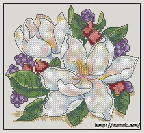 Скачать схемы вышивки нитками / крестом  - Cherished magnolia, автор 