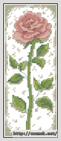 Download embroidery patterns by cross-stitch  - Sophisticated rose, author 