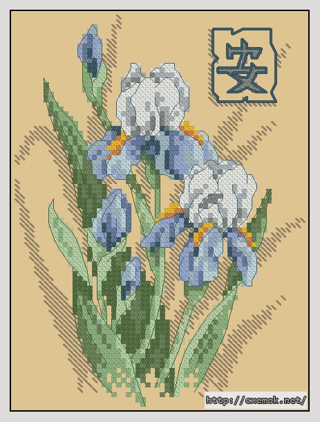 Скачать схемы вышивки нитками / крестом  - Oriental irises, автор 