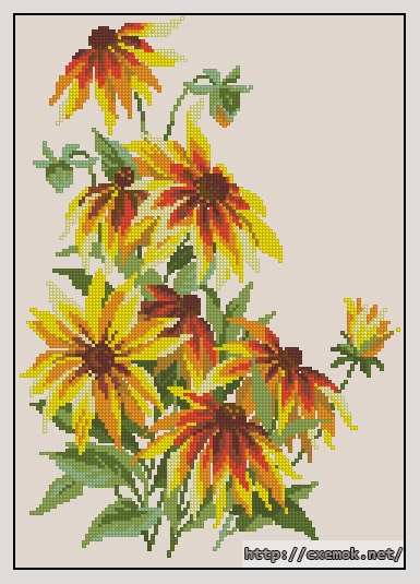 Download embroidery patterns by cross-stitch  - Рудбекия, author 
