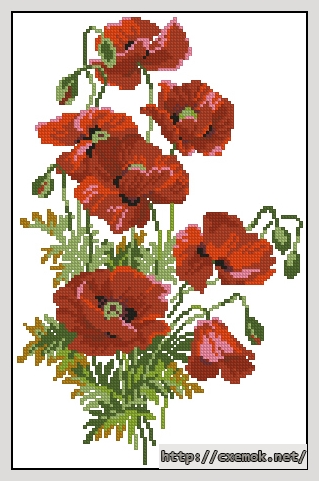 Download embroidery patterns by cross-stitch  - Полевые маки, author 