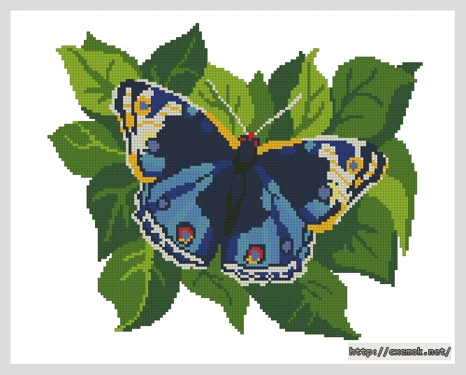 Download embroidery patterns by cross-stitch  - Бабочка синяя, author 