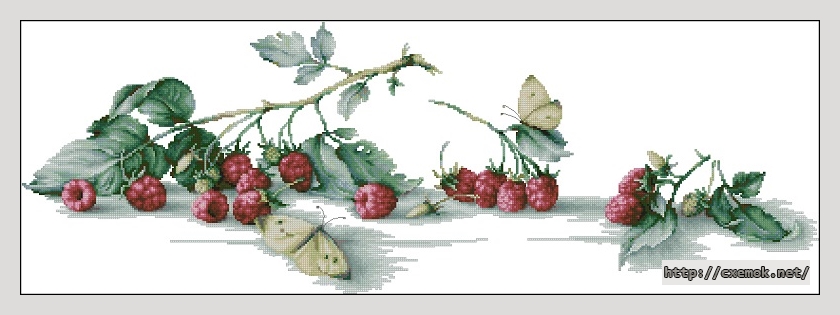 Скачать схемы вышивки нитками / крестом  - Raspberries with butterfly, автор 