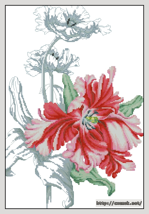 Download embroidery patterns by cross-stitch  - Red tulip, author 