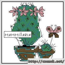 Скачать схему вышивки нитками Mammillaria, автор 