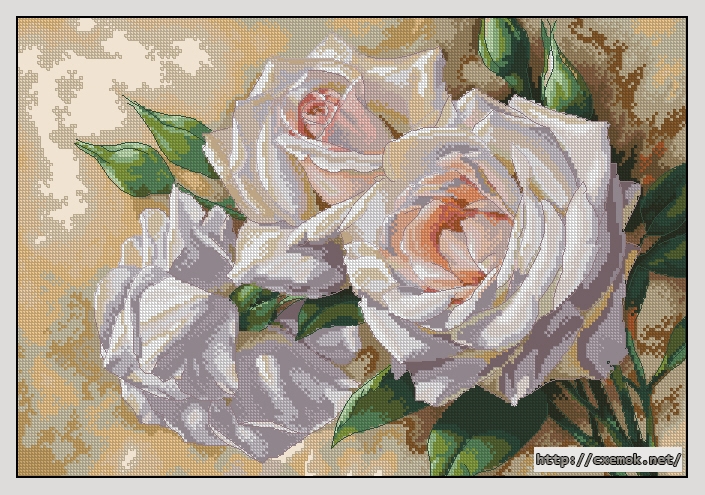 Скачать схемы вышивки нитками / крестом  - White roses, автор 