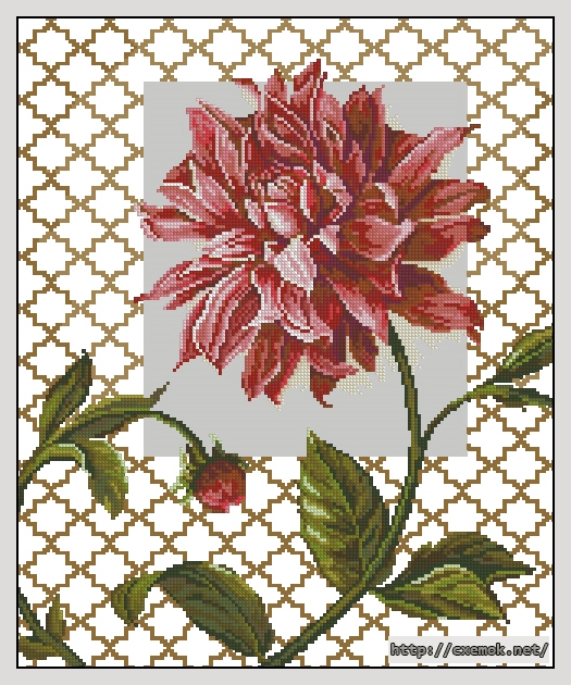Download embroidery patterns by cross-stitch  - Успех, author 